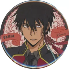 2025年最新】xanxus rebornの人気アイテム - メルカリ