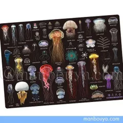 2025年最新】海月大全の人気アイテム - メルカリ