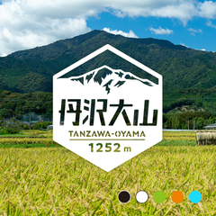 【丹沢 大山】山ステッカー　カッティング【切り文字タイプ】ポスト投函