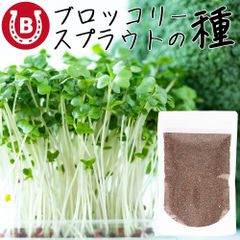 ブロッコリースプラウト種子(300ml) 高濃度 スルフォラファン含有 発芽率 92％ 品種 カラブリーゼ種 有機栽培種子 家庭菜園 種 種子 スプラウト ブロッコリー サプリ タネ （種子のみ）栽培 栽培キット キット 栽培用 ブロッコリー スプラウト