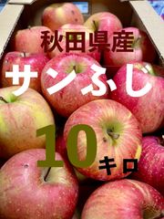 秋田県産　サンふじ　約10キロ　家庭用傷あり品