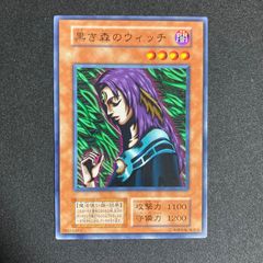 遊戯王　ブルーアイズホワイトドラゴン　2期ウルトラ 遊戯王ブルーアイズホワイトドラゴン 青眼の白龍89631139 - メルカリ