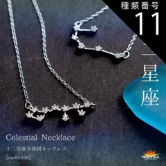 種類11:水瓶座 ネックレス レディース  金属アレルギー シンプル 胸元に夜空を彩る。十二星座天体図ネックレス チェーン アクセサリー 925シルバー スターリングシルバー シルバー 十二星座 星 星座 誕生日 きれいめ プレゼント n_marai 春服