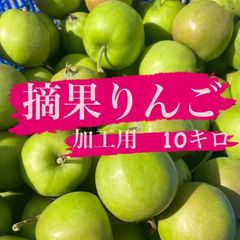 摘果りんご　ジョナゴールド　加工用10キロ