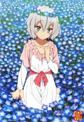 ゾンビランドサガ 非売品 特典 描き下ろし 縦型 クリアポスター 紺野