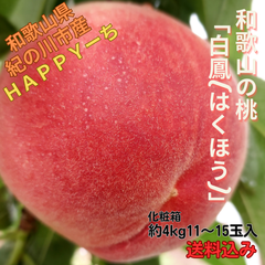 夏の王道果実「和歌山の桃」(化粧大箱12~15玉入)/お買い得/シェア買い/共同購入/少し訳あり/食べ頃/プチ贅沢/お取り寄せ/産地直送