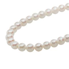 【本物保証】 鑑付 超美品 ネックレス 約36.7g シルバー環 アコヤパール 約7.5～8.0ミリ あこや真珠 冠婚葬祭 ノーブランド No brand