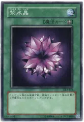 【世界に1枚】遊戯王　紫水晶　初期　ブースター1   字レア　PSA10 世界に1枚】遊戯王 紫水晶 初期 ブースター1 字レア PSA10