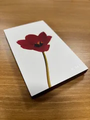 RMK ウォームメモリーズ アイシャドウパレット 13g 美品 アールエムケー アイシャドウ