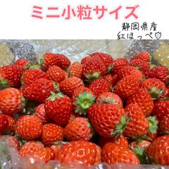 ミニ小粒サイズ　700g　紅ほっぺ　いちご 🍓