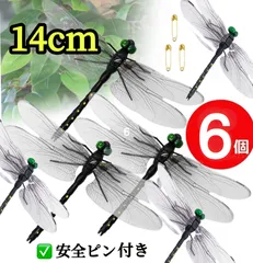 2025年最新】標本 オニヤンマの人気アイテム - メルカリ