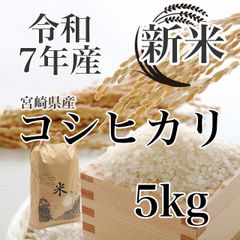 令和７年産 コシヒカリ 新米 5kg 宮崎県産 8月中旬発送