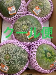 クインシーメロン 2Lサイズ 5個 箱込 5.5キロ程度 茨城県産