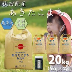 新米 令和5年産 米 お米 無洗米 あきたこまち 20kg（5kg×4袋） 秋田県産 古代米お試し袋付き