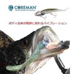 【カラーチャート２】コアマン VJ-16 バイブレーションジグヘッド COREMAN VIBRATION JIGHEADのサムネイル