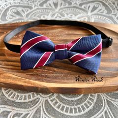 Item thumbnail for item 13ace1cd-c62d-4f4e-beff-3f694433e792