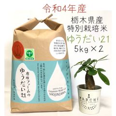 栃木県産ゆうだい21【特別栽培米】白米5kg - メルカリShops