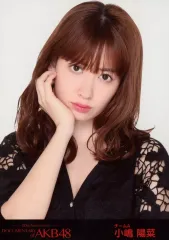 2025年最新】小嶋陽菜生写真の人気アイテム - メルカリ