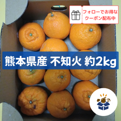 【熊本県産】不知火 約2kg