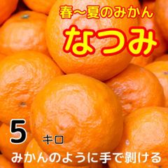 なつみ　5キロ　不揃い　訳あり家庭用　北海道、沖縄のお客様発送不可です)