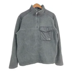 THE NORTH FACE ノースフェイス ハーフジップ フリースジャケット アウトドア グレー (メンズ L) 中古 古着 S9200