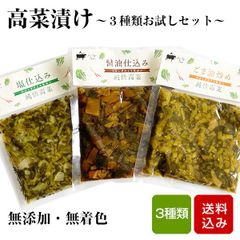 高菜 無添加 お試し3種類セット 100g×3袋 宮崎県産