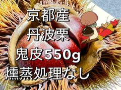 在庫1個 希少 大栗 京都産 鬼皮 丹波栗 5&6L(33-39g) 550g 手拾い 殺虫剤不使用のサムネイル