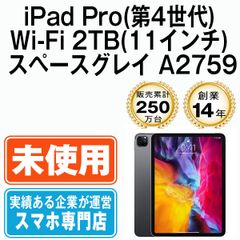 【未使用】iPad Pro 第4世代 Wi-Fi 2TB 11インチ スペースグレイ A2759 2022年 本体 Wi-Fiモデル タブレット アイパッド アップル apple 【送料無料】 ipdp4mtm3096s