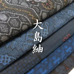 夏 絽 名古屋帯 苺 いちご 正絹 黒 #2092 | www.widodo-au.com
