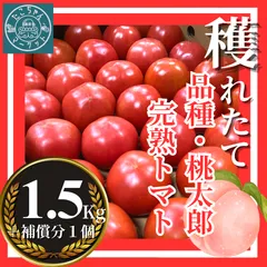 【完熟収穫トマト】スターマークがついてる！愛媛県産　美味しい桃太郎とまと 　1.5Kg