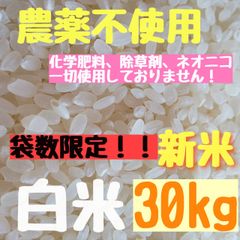 農薬不使用  ヒノヒカリ 白米  30kg さくらの白米