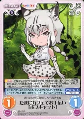けものフレンズ TCG CHAOS カオス まとめ売り 超貴重 けものフレンズ TCG CHAOS カオス まとめ売り 超貴重 2025年最新