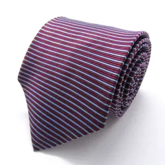 ポロ ブランド ネクタイ ボーダー柄 シルク 日本製 PO メンズ ワインレッド POLO 【中古】