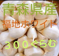 中粒　300ぐらむ　にんにく　青森産　ニンニク　福地ホワイト　バラ　青森にんにく直売所のサムネイル