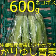 沖縄県産 うりずん豆（琉球四角豆）約600g 【ネコポス】③