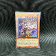50枚セット　遊戯王　教導の死徒 教導の死徒【ウルトラ】{VJMP-JP278}《モンスター》