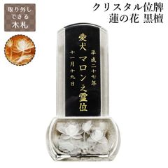 砂糖入れ 西ドイツの老舗銀器メーカー、クリストフ・ウィドマン社 
