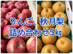 りんご　秋月梨　詰め合わせ　5㎏