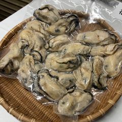 浜の工場から直送 新鮮 大粒 むき身 牡蠣(加熱用) 10粒入×2袋 クール便