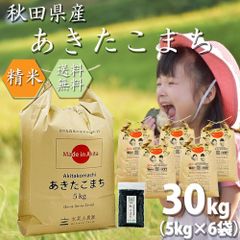 令和4年産 あきたこまち 精米 30kg(5kg×6袋) お米 秋田県産