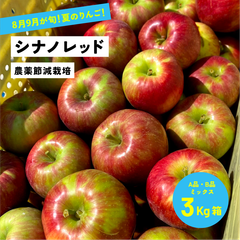 8月13日から8月31日発送 酸っぱい 夏りんご！8月収穫りんご「シナノレッド3キロ箱A品B品ミックス」  農林水産大臣賞 長野県産 安曇野 信州産 産地直送