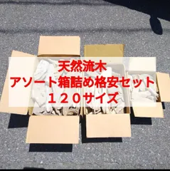 【送料無料】国産 南信州産 天然流木●おまかせ アソート箱詰め お得格安セット【１２０サイズ】流木卸売 流木格安セット 流木まとめ売り 流木大量販売 川流木