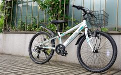 NEXTYLE ジュニア マウンテンバイク NX-CTB01 22インチ 2カラ