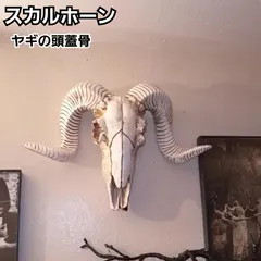 スカルホーンオブジェ　什器　インテリア雑貨　シャビーシック スカルホーンオブジェ 什器 インテリア雑貨 シャビーシック