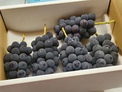 chococo's様専用訳あり種無し巨峰房約1.5kgクール便