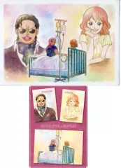 【中古】クリアファイル セニョールピンク＆ルシアン A4クリアファイル＆ステッカーセット 「一番くじ ワンピース エモーショナルストーリーズ2」 H賞