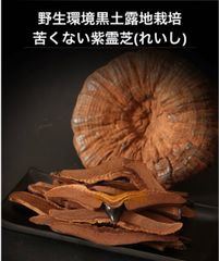 苦くない紫霊芝スライス100g  野生環境黒土地栽培  漢方 薬膳　マンネンタケ　万年茸