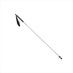 Item thumbnail for item 0bf2fe1b-2280-401d-8ae9-af23f634bcf5