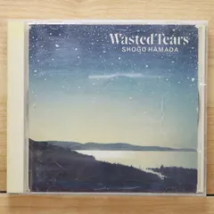 帯付き　美品　浜田省吾 wasted tears　レコード 帯付き 美品 浜田省吾 wasted tears レコード