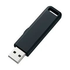 サンワサプライ USBメモリ 2GB USB2.0 スライド式コネクタ ブラック UFD-SL2GBKN （1点）